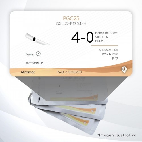 G-F1704-H 4-0 Aguja 1/2 - 17